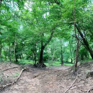 Photo of SOLD!!  13.38 Acres of Riverfront Timber and Hunting Land For Sale in Wayne County NC!