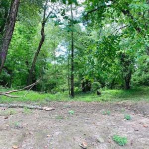 Photo of SOLD!!  13.38 Acres of Riverfront Timber and Hunting Land For Sale in Wayne County NC!