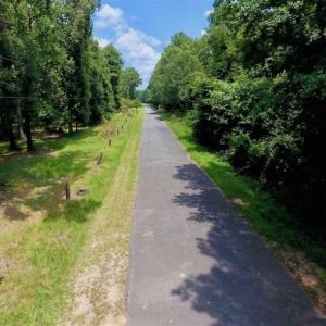 Photo of SOLD!!  13.38 Acres of Riverfront Timber and Hunting Land For Sale in Wayne County NC!