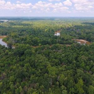 Photo of SOLD!!  13.38 Acres of Riverfront Timber and Hunting Land For Sale in Wayne County NC!