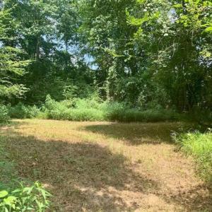 Photo of SOLD!!  13.38 Acres of Riverfront Timber and Hunting Land For Sale in Wayne County NC!