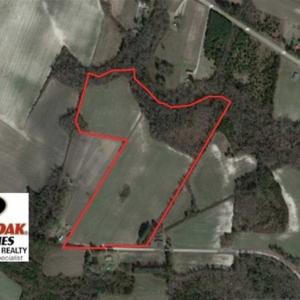 Photo of SOLD!!  38 Acres of Farm and Hunting Land For Sale in Robeson County NC!