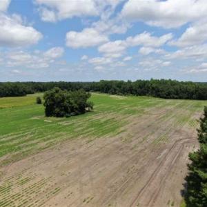 Photo of SOLD!!  38 Acres of Farm and Hunting Land For Sale in Robeson County NC!