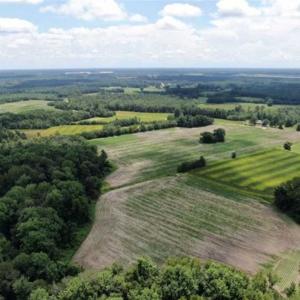 Photo of SOLD!!  38 Acres of Farm and Hunting Land For Sale in Robeson County NC!