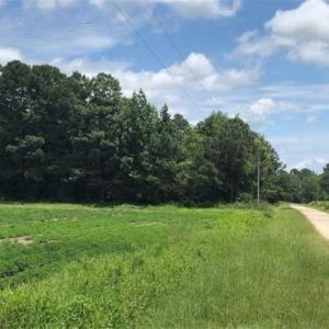 Photo of SOLD!!  38 Acres of Farm and Hunting Land For Sale in Robeson County NC!