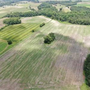 Photo of SOLD!!  38 Acres of Farm and Hunting Land For Sale in Robeson County NC!