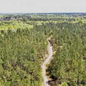 Photo of SOLD!!  138.71 Ac of Hunting and Timber Land For Sale in Brunswick County NC!
