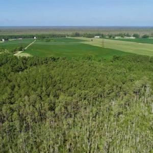 Photo of UNDER CONTRACT!!  66 Acres of Waterfront Farm and Development Land in Currituck County NC!
