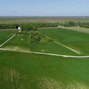 Photo of UNDER CONTRACT!!  66 Acres of Waterfront Farm and Development Land in Currituck County NC!