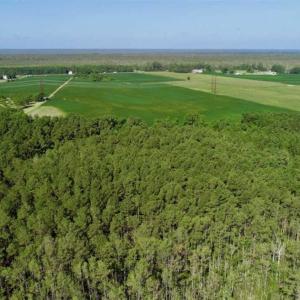Photo of UNDER CONTRACT!!  66 Acres of Waterfront Farm and Development Land in Currituck County NC!