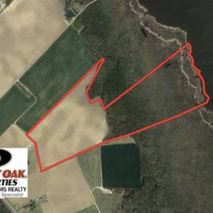 Photo of UNDER CONTRACT!!  66 Acres of Waterfront Farm and Development Land in Currituck County NC!