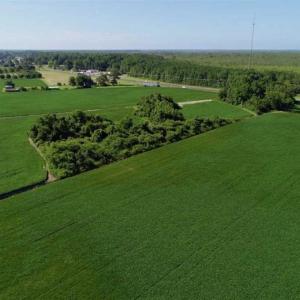 Photo of UNDER CONTRACT!!  66 Acres of Waterfront Farm and Development Land in Currituck County NC!