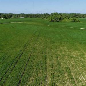 Photo of UNDER CONTRACT!!  66 Acres of Waterfront Farm and Development Land in Currituck County NC!