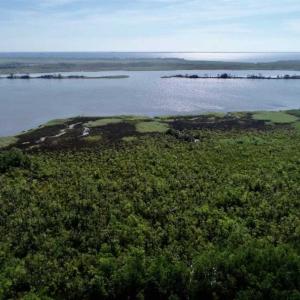 Photo of UNDER CONTRACT!!  66 Acres of Waterfront Farm and Development Land in Currituck County NC!