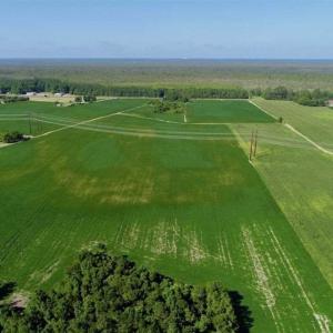 Photo of UNDER CONTRACT!!  66 Acres of Waterfront Farm and Development Land in Currituck County NC!