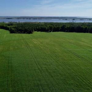Photo of UNDER CONTRACT!!  66 Acres of Waterfront Farm and Development Land in Currituck County NC!