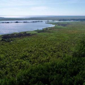 Photo of UNDER CONTRACT!!  66 Acres of Waterfront Farm and Development Land in Currituck County NC!