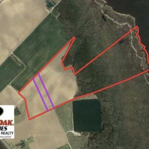 Photo of UNDER CONTRACT!!  66 Acres of Waterfront Farm and Development Land in Currituck County NC!