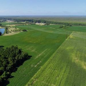 Photo of UNDER CONTRACT!!  66 Acres of Waterfront Farm and Development Land in Currituck County NC!