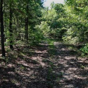 Photo of SOLD!!  36.5 Acres of Riverfront Hunting Land in Craven County NC!