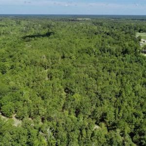 Photo of SOLD!!  36.5 Acres of Riverfront Hunting Land in Craven County NC!