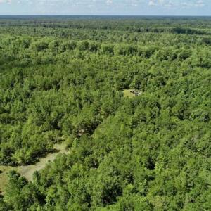 Photo of SOLD!!  36.5 Acres of Riverfront Hunting Land in Craven County NC!