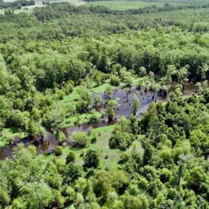 Photo of SOLD!!  36.5 Acres of Riverfront Hunting Land in Craven County NC!
