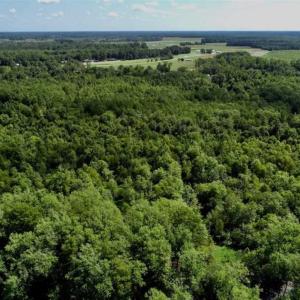 Photo of SOLD!!  36.5 Acres of Riverfront Hunting Land in Craven County NC!