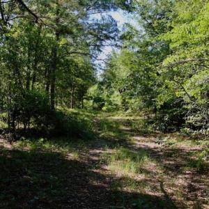 Photo of SOLD!!  36.5 Acres of Riverfront Hunting Land in Craven County NC!