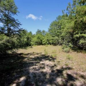 Photo of SOLD!!  36.5 Acres of Riverfront Hunting Land in Craven County NC!