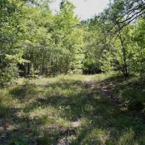 Photo of SOLD!!  36.5 Acres of Riverfront Hunting Land in Craven County NC!