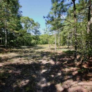 Photo of SOLD!!  36.5 Acres of Riverfront Hunting Land in Craven County NC!
