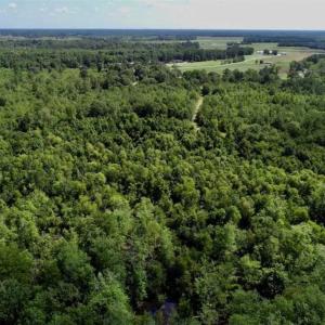 Photo of SOLD!!  36.5 Acres of Riverfront Hunting Land in Craven County NC!