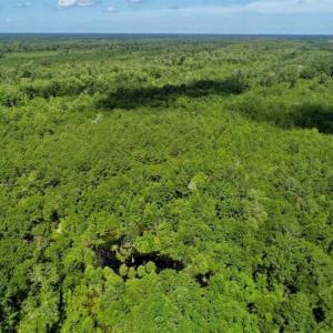 Photo of SOLD!!  36.5 Acres of Riverfront Hunting Land in Craven County NC!