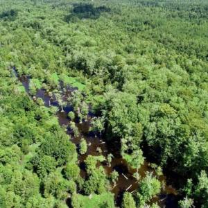 Photo of SOLD!!  36.5 Acres of Riverfront Hunting Land in Craven County NC!