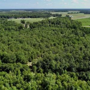 Photo of SOLD!!  36.5 Acres of Riverfront Hunting Land in Craven County NC!