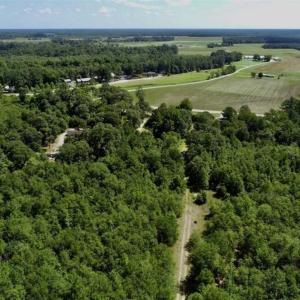 Photo of SOLD!!  36.5 Acres of Riverfront Hunting Land in Craven County NC!