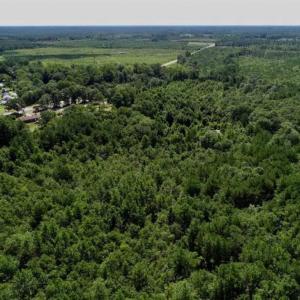 Photo of SOLD!!  36.5 Acres of Riverfront Hunting Land in Craven County NC!