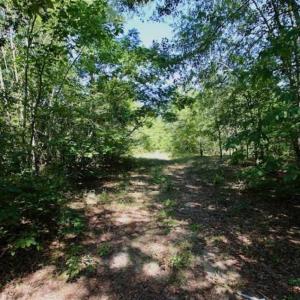 Photo of SOLD!!  36.5 Acres of Riverfront Hunting Land in Craven County NC!