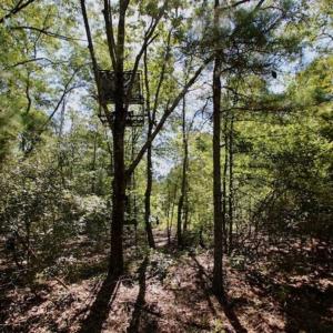 Photo of SOLD!!  36.5 Acres of Riverfront Hunting Land in Craven County NC!