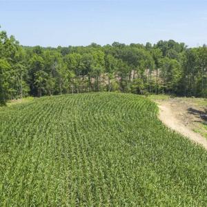 Photo of UNDER CONTRACT!!  123.19 +/- Acres of Farm and Recreational Land For Sale in Person County, NC!