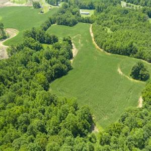 Photo of UNDER CONTRACT!!  123.19 +/- Acres of Farm and Recreational Land For Sale in Person County, NC!