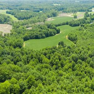 Photo of UNDER CONTRACT!!  123.19 +/- Acres of Farm and Recreational Land For Sale in Person County, NC!