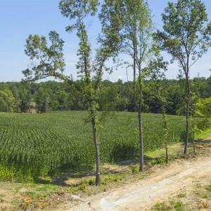 Photo of UNDER CONTRACT!!  123.19 +/- Acres of Farm and Recreational Land For Sale in Person County, NC!