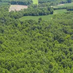 Photo of UNDER CONTRACT!!  123.19 +/- Acres of Farm and Recreational Land For Sale in Person County, NC!