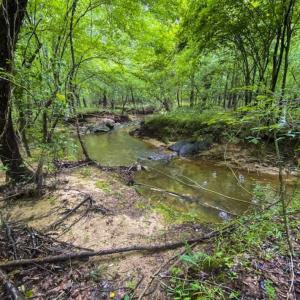 Photo of UNDER CONTRACT!!  123.19 +/- Acres of Farm and Recreational Land For Sale in Person County, NC!