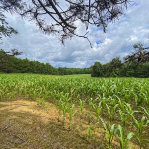 Photo of UNDER CONTRACT!!  123.19 +/- Acres of Farm and Recreational Land For Sale in Person County, NC!