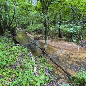 Photo of UNDER CONTRACT!!  123.19 +/- Acres of Farm and Recreational Land For Sale in Person County, NC!
