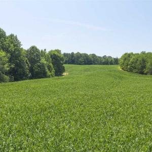 Photo of UNDER CONTRACT!!  123.19 +/- Acres of Farm and Recreational Land For Sale in Person County, NC!