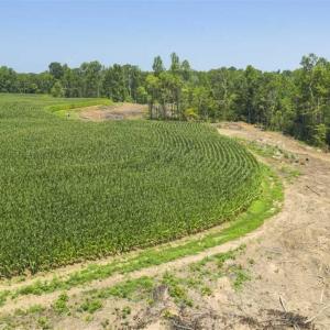 Photo of UNDER CONTRACT!!  123.19 +/- Acres of Farm and Recreational Land For Sale in Person County, NC!